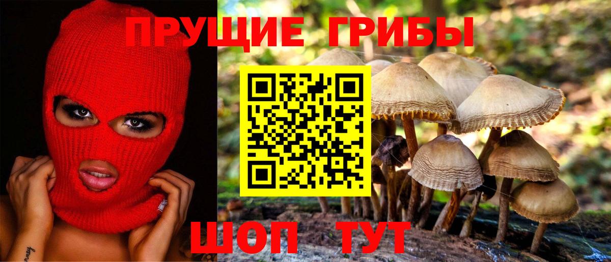 Кострома  Галлюциногенные грибы ЛСД  Галлюциногенные грибы Psilocybine cubensis  Вход с VPN 